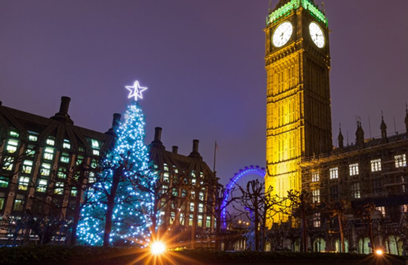 Parliament Christmas Tree