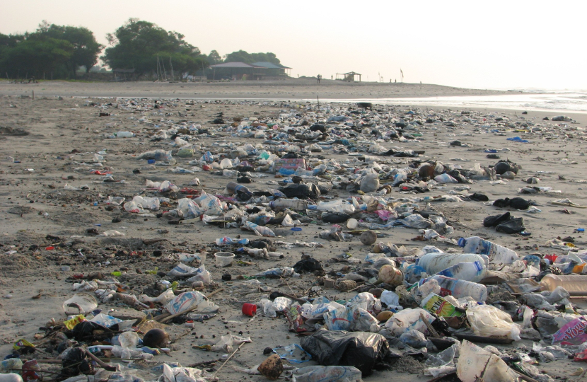 Plastic pollution on a beach (c) John Hayward