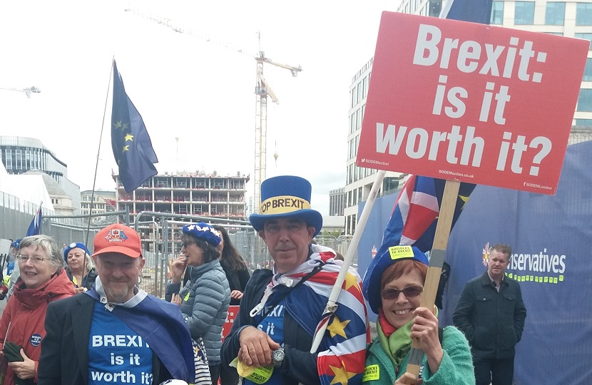 Brexit protesters