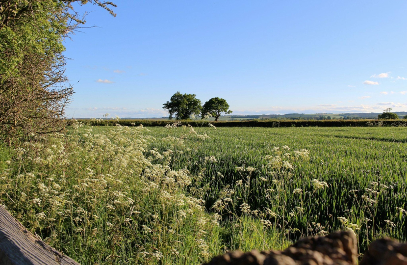 Environment