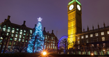 Parliament Christmas Tree