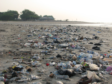 Plastic pollution on a beach (c) John Hayward