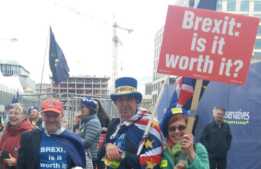 Brexit protesters